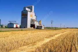 lonepinephoto.ca Macrorie