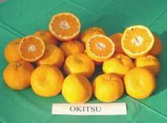 Okitsu