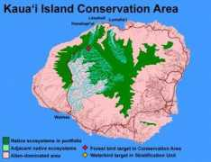 hawaiiecoregionplan.info Portka