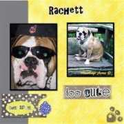 Rachett