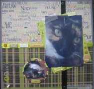 scrapbookflair.com Zooky