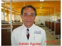 odontologia.iztacala.unam.mx Aaguilar