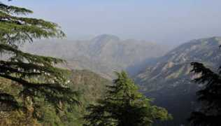 zeenews.india.com Aamod