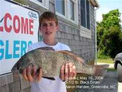 fishtradewinds.com Aaronh