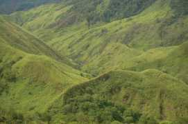 Aarseth
