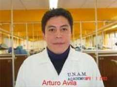Aavila