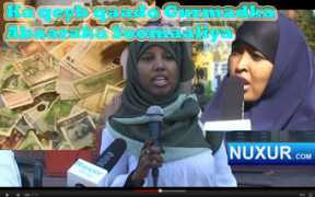 nuxur.com Abaar