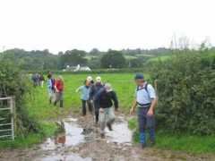 pontarddulaiswalkingclub.com Abadam