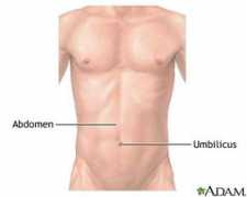 Abdomen