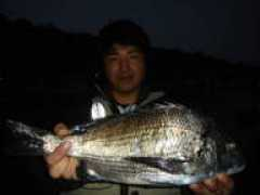 daiwakankou.jp Abeki