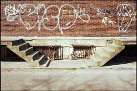 Abeu