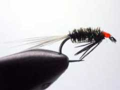 tommi-fly.cz Ablik