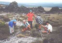 rae.falkor.gen.nz Aborta