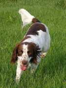 autumnskye.com Abrun