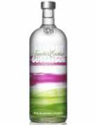luxurylaunches.com Absolut