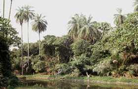 Abuka