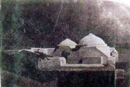 tnfj.org.pk Abutalib