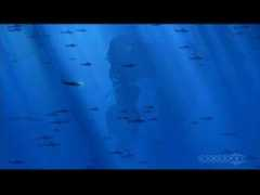 Abzu