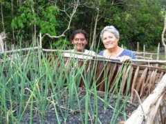 bigamazonfish.com Acarol