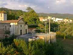 Accaria