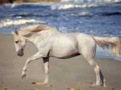Aclaire