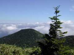 st.rim.or.jp Adake