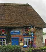 Adare