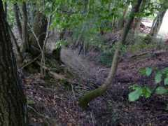 landschaftsmuseum.de Adelsburg