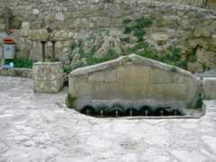 Ademus