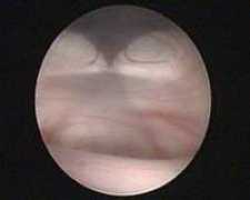 neurochirurgia2000.com Adesio