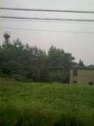 Adgg