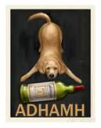 Adhamh