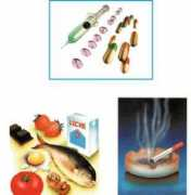 zonamedica.com.ar Adiccion