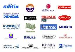 Aditio