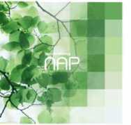 hk.sun-ip.or.jp Adnap