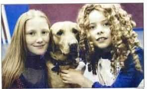 ferndown-phoenix-ms.co.uk Adnett