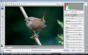 worldbirds.co.uk Adode