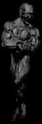 Adonn