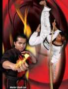 avmartialarts.com Adston