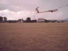 forum.fanclub.ro Aeroclub