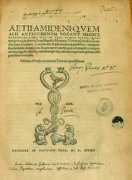 folk.uio.no Aetius
