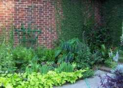 davesgarden.com Affad