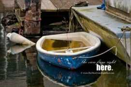 theviewfromrighthere.com Afloat