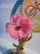 blog.papermonkey.org Aflower