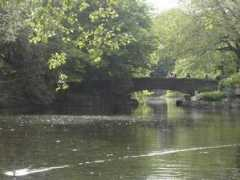 objetivogranada.ideal.es Afuentes