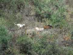 santohuberto.com Agarro