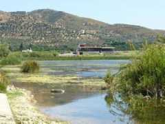 Agia