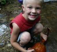 gwynnvalley.com Agourd