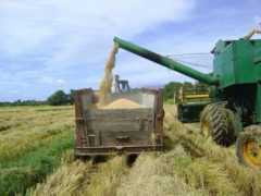 entornointeligente.com Agricolas