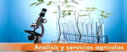 guatelabs.com Agricolas